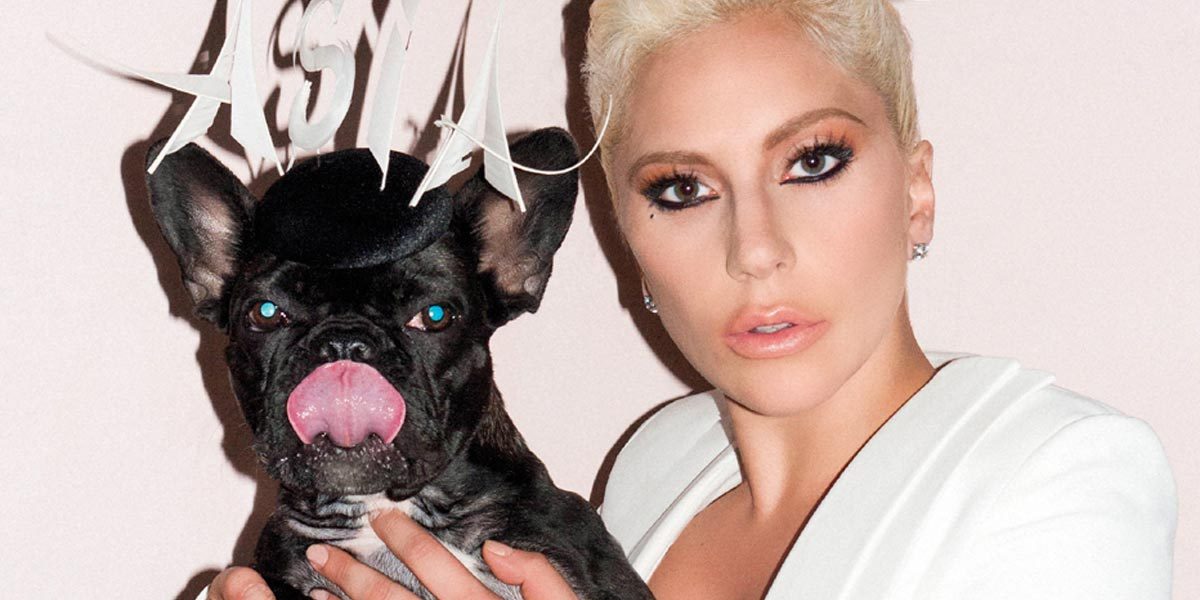 Lady Gaga and her pup Asia Kinney pose for V Magazine