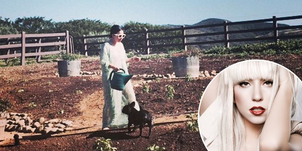 Exclusive: Lady Gaga cancels new album plans to become a farmer