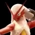 Horny Chicken