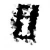 IGAM